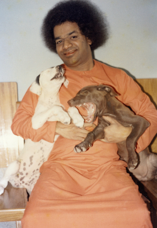 Beloved Bhagawan Sri Sathya Sai Baba